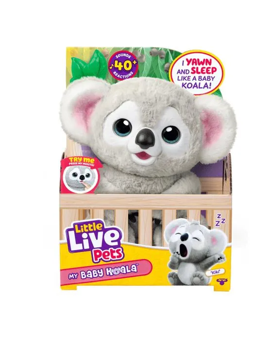 Petits animaux vivants Mon bébé Koala - Kiki