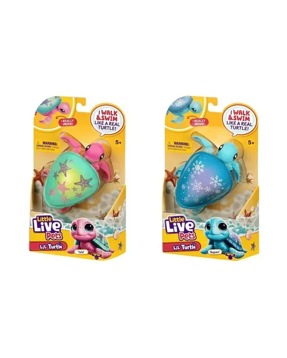 Petites bêtes vivantes Tortue - Assortiment
