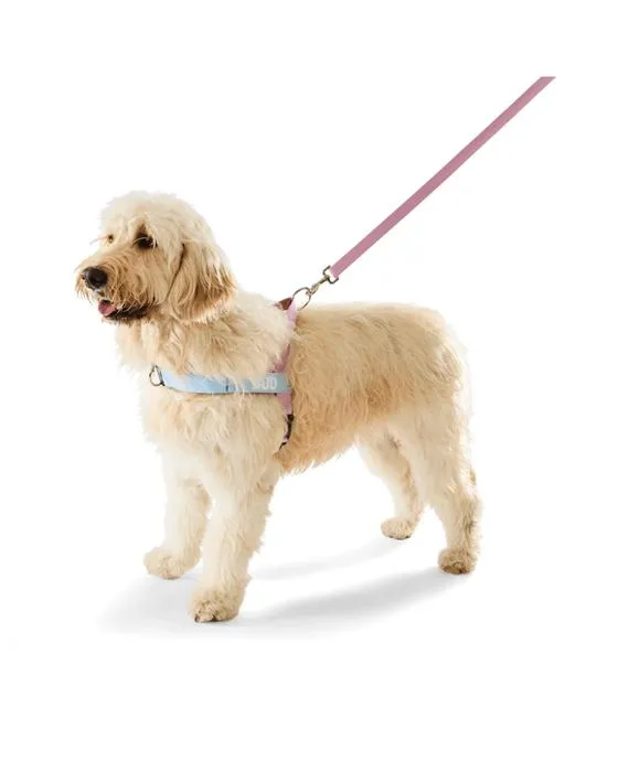Ensemble de marche sur mesure rose - Extra Large