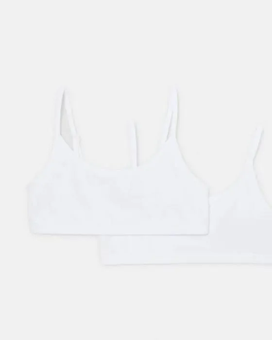 2 Packs de la récolte quotidienne Top