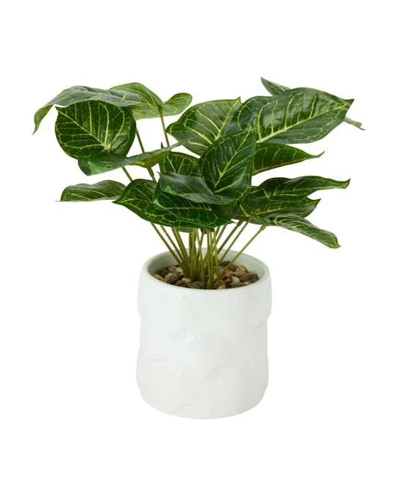 Syngonium artificiel en pot de coquille
