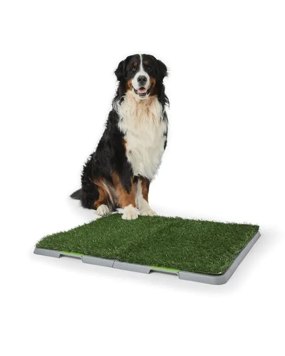 Tapis de pot pour animaux de compagnie - Extra Large
