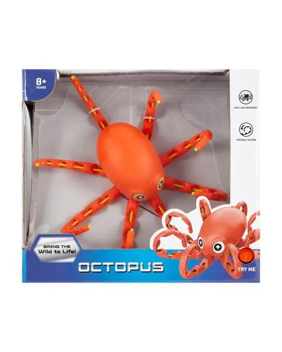 Octopus