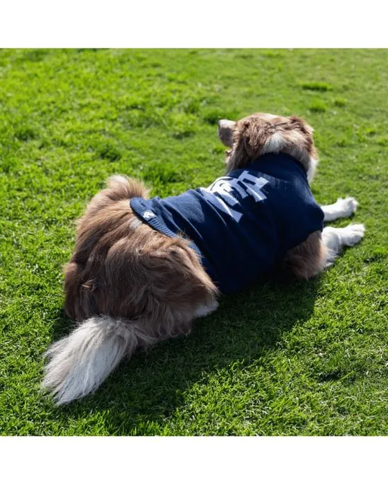AFL Carlton Blues Jumper pour animaux de compagnie - Grand