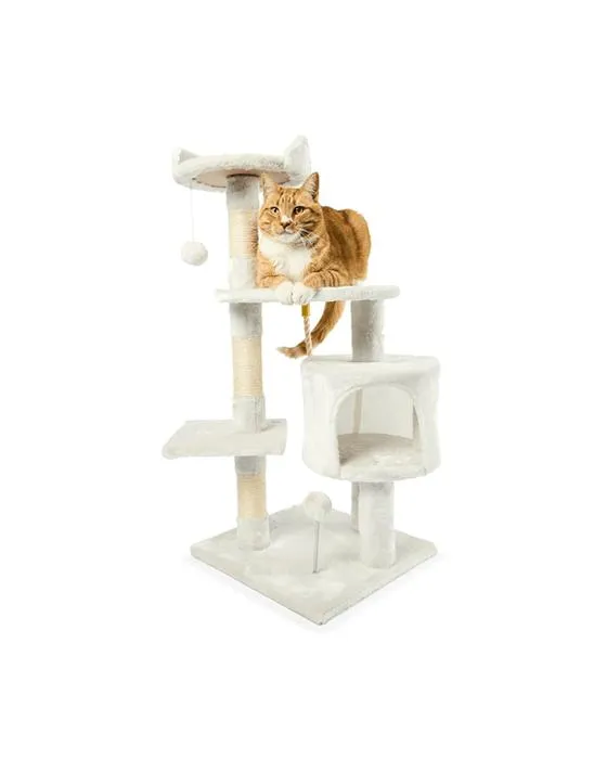 Tour de chat 3 Niveau