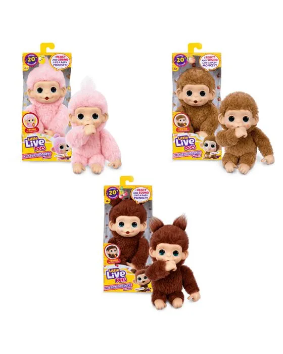 Petits animaux vivants Mon bébé singe Minis - Assortiment