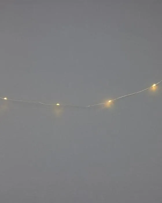 51 LED fil lumières de fil de fer argenté