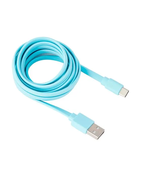 Câble en métal USBC 2m - Teal