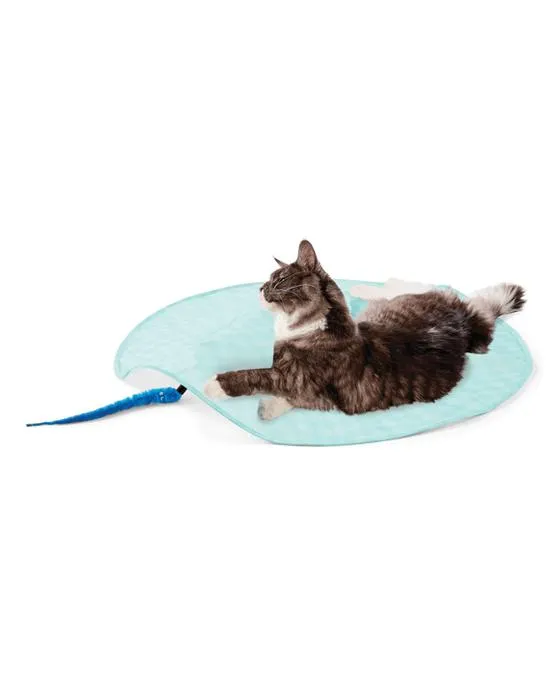 Cat Automatiser le teaser