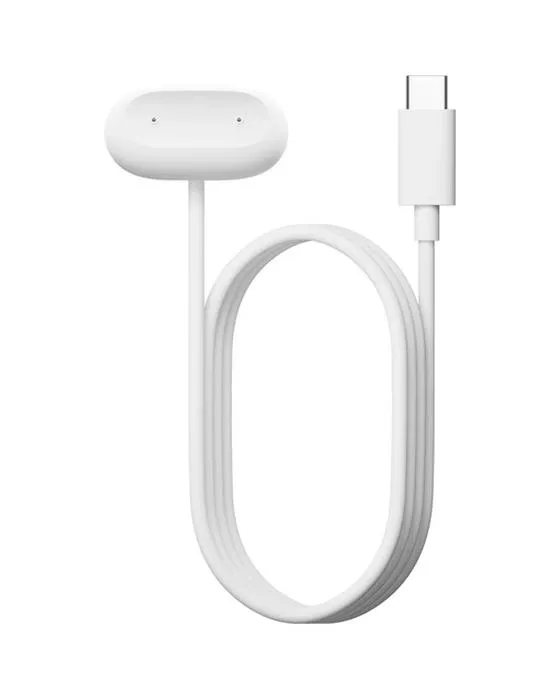 Câble de charge d'air Fitbit de Google Neige