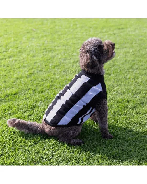 AFL Collingwood Pies Jumper pour animaux de compagnie - Grand