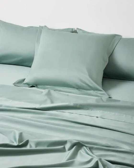 500 Fil Count Cotton Coussin Européen - Sage