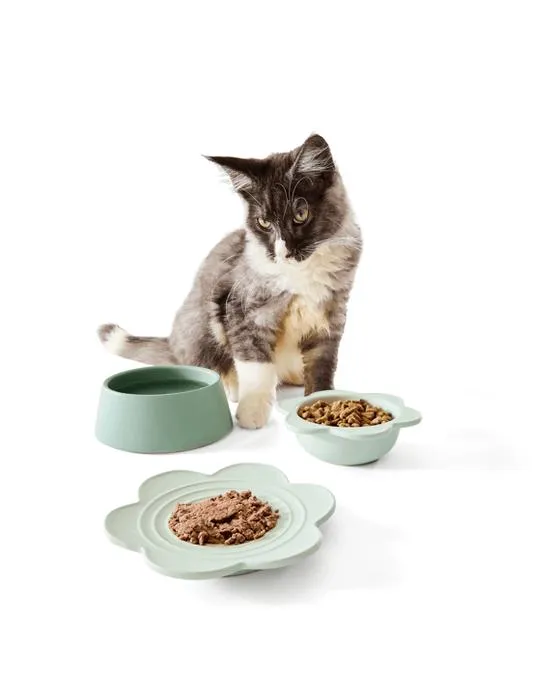 3 Pack en céramique de bol de chat