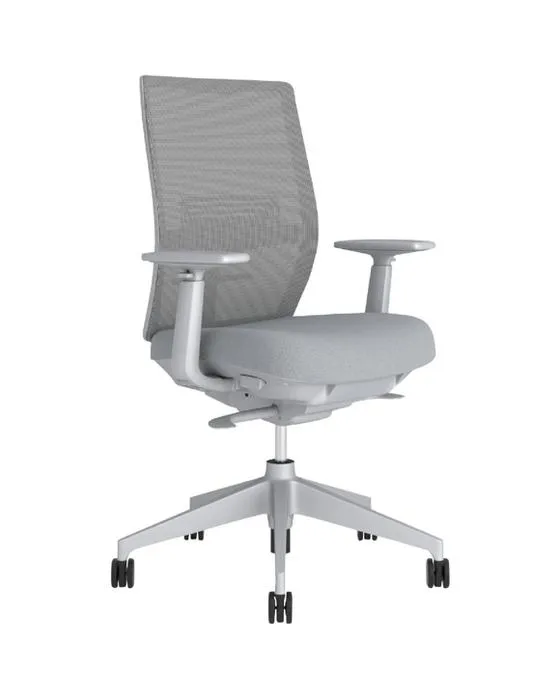 Haworth Aloha Chaise Ergonomie Active Chaises Ergonomie Grise et Chaises de Bureau