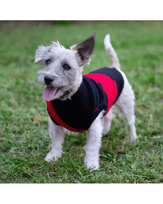 AFL Essendo Bombers Jumper pour animaux de compagnie - Petit