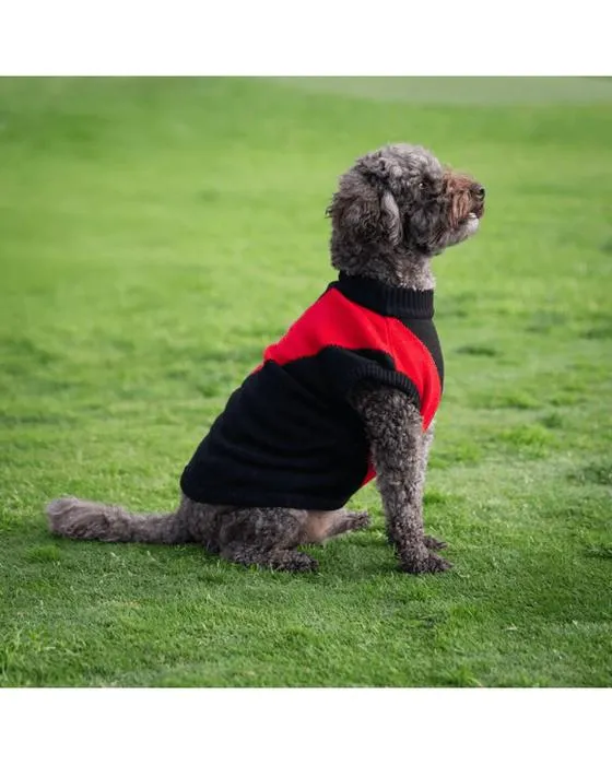 AFL Essendo Bombers Jumper pour animaux de compagnie - Medium