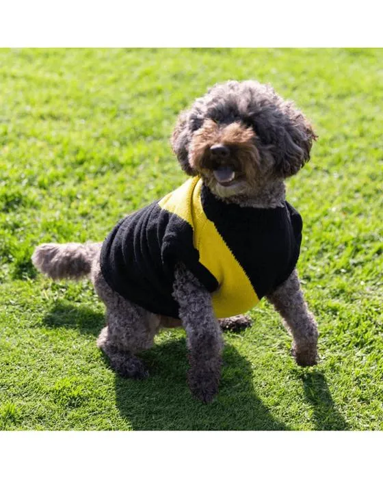 AFL Richmond Tigres Jumper pour animaux de compagnie - Moyen