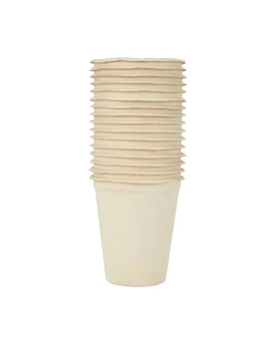 16 Pack de canne à sucre tasses de pâtes