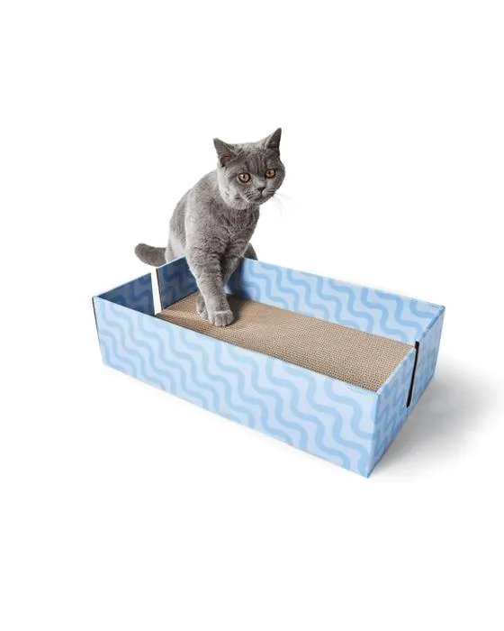 3 boîtes de chat