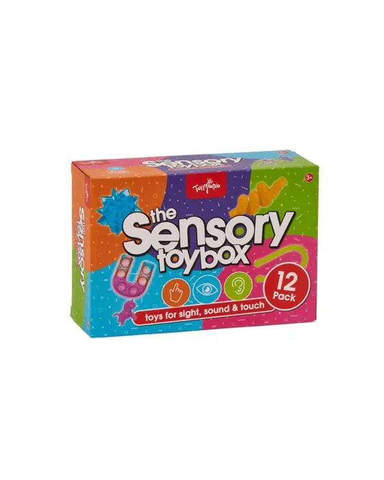 ToyMania la boîte à jouets sensorielle 12 Pack Fidget Fun Box