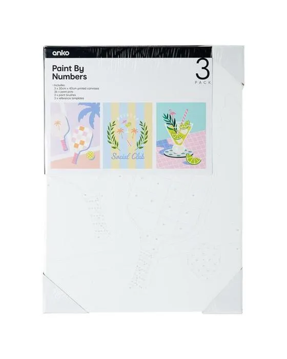 3 Pack Paint par nombres - Club de loisirs