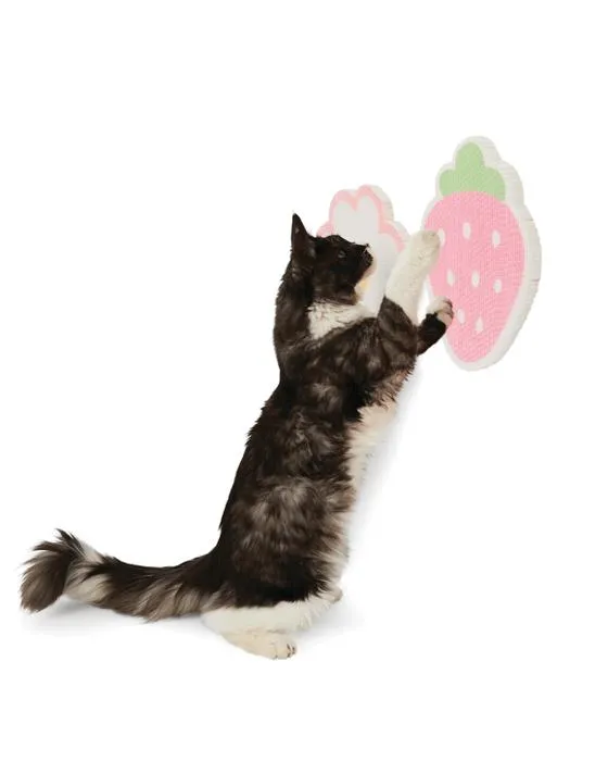 2 Stick-On Cardboard Scratchers Pack