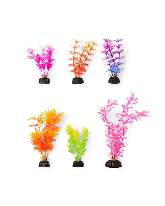 6 Pack Aquarium plantes vives - Petit