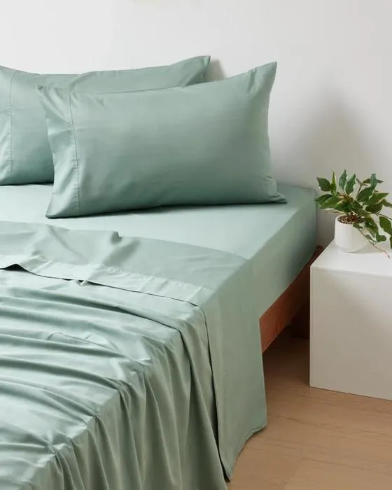 2 Pack 500 Fil Count Cotton Étuis Standard - Sage