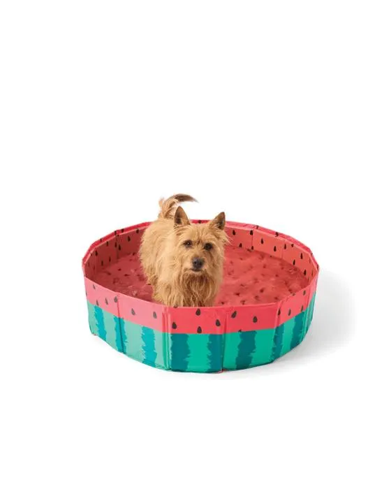 Bain pour animaux de compagnie portable