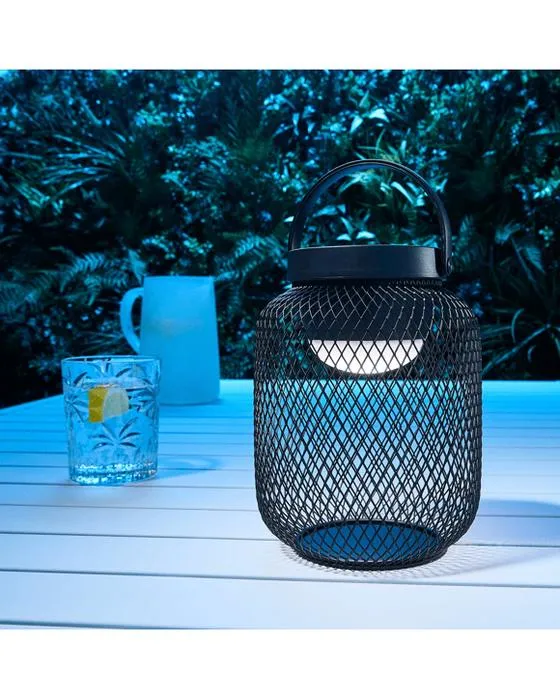 Président de Mesh Lantern