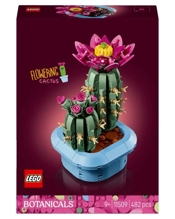 LEGO Botaniques Cactus fleurissant 11509