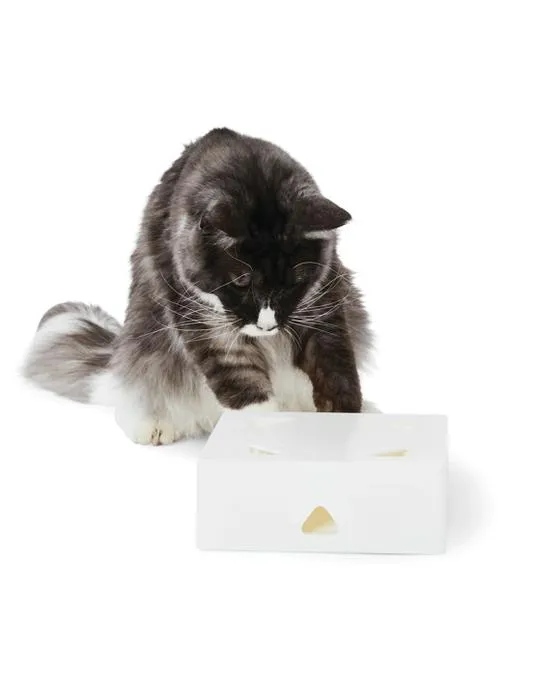 Jouet d'enrichissement de chat