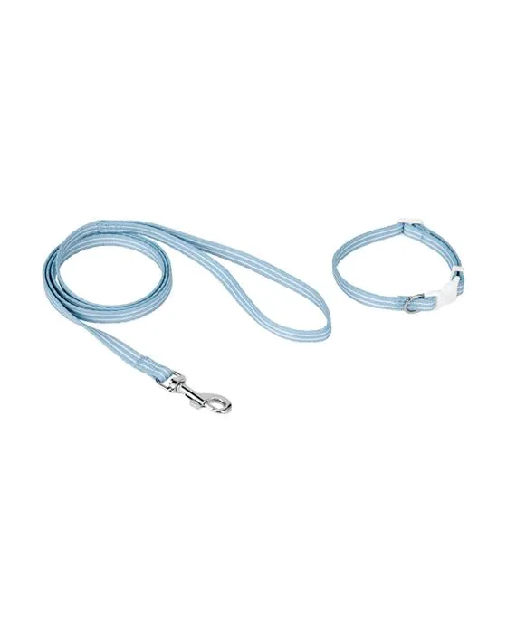 Collier et plomb de chiot - Bleu