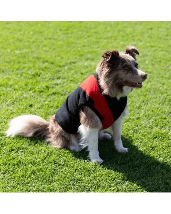 AFL Essendo Bombers Jumper pour animaux de compagnie - Grand