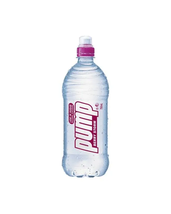 Bouteille d'eau de pompe 750ml - Berry Storm