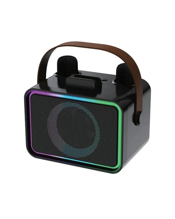 8W Karaoke Conférencier avec 2 Mic