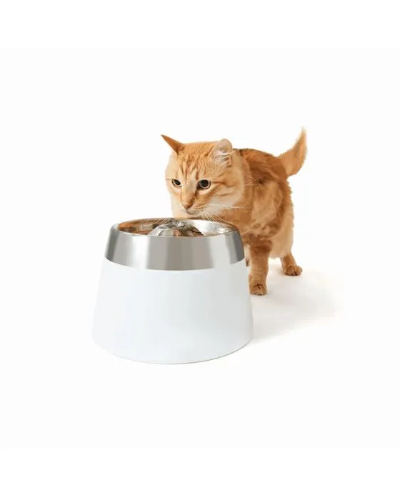 Fontaine d'eau pour animaux de compagnie