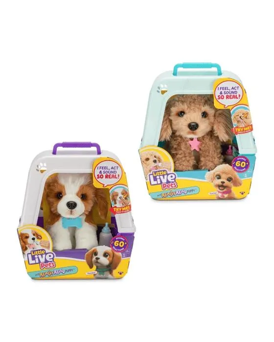 Petits animaux vivants Mon vrai chiot - Assortiment