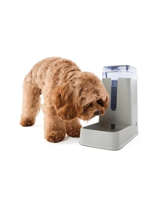 Animaux de compagnie Gravity Water Moderne