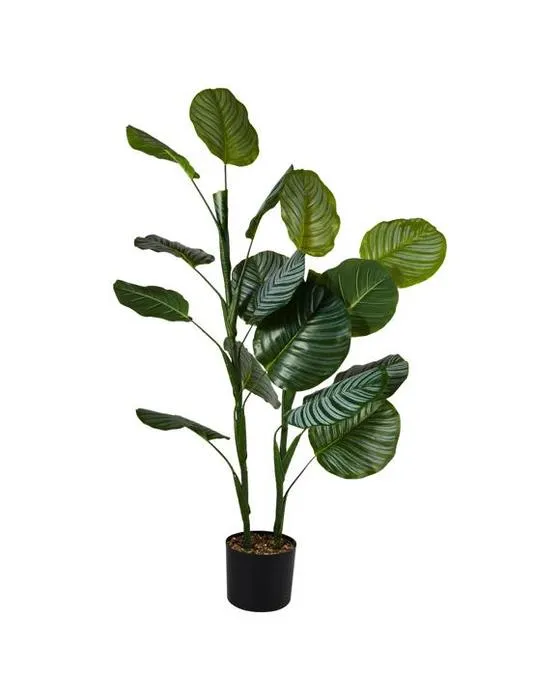 Plante artificielle Calathea en pot