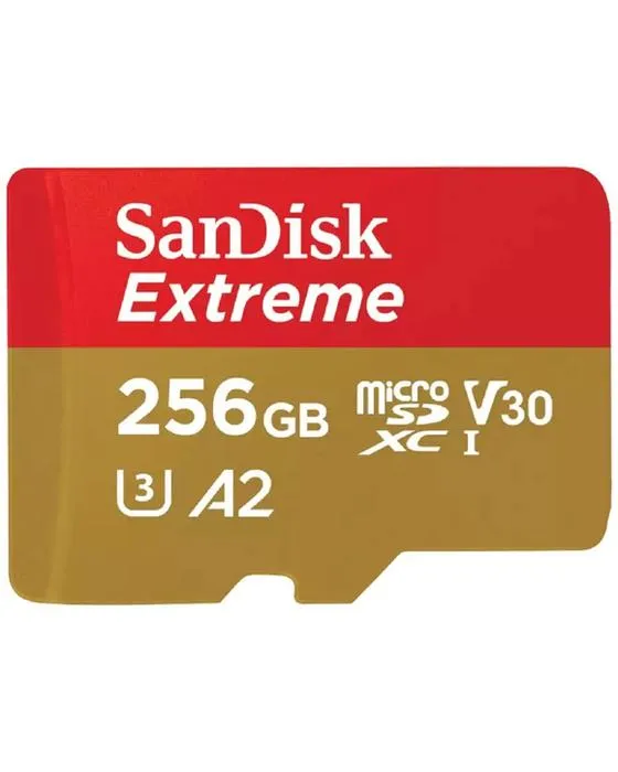 Carte mémoire Super-microSDXC de 256 Go