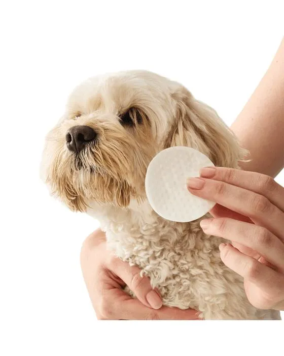 100 Packs d'oreilles pour animaux et d'essuie-glaces pour yeux