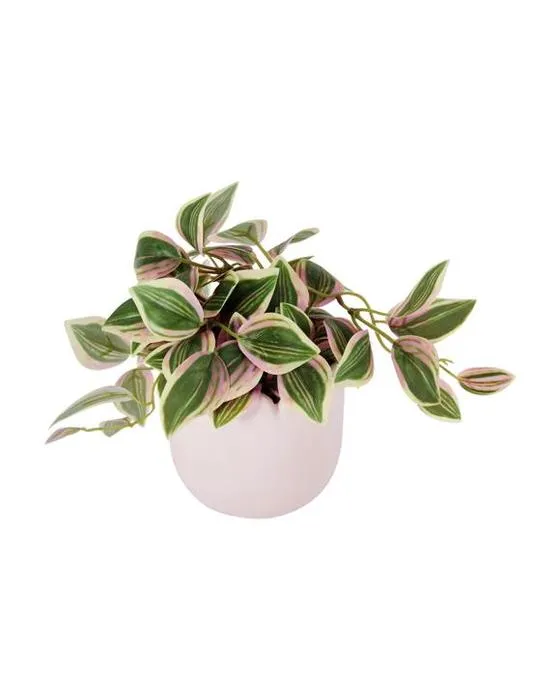 Succulent artificiel en pot de wavy