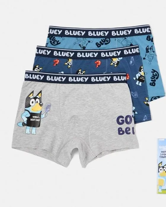 3 Trunks de licence de paquet bleu