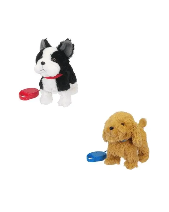 Chiens de randonnée sur le plomb - Assortiment