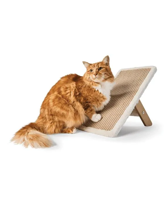 Support de raclage vertical de chat