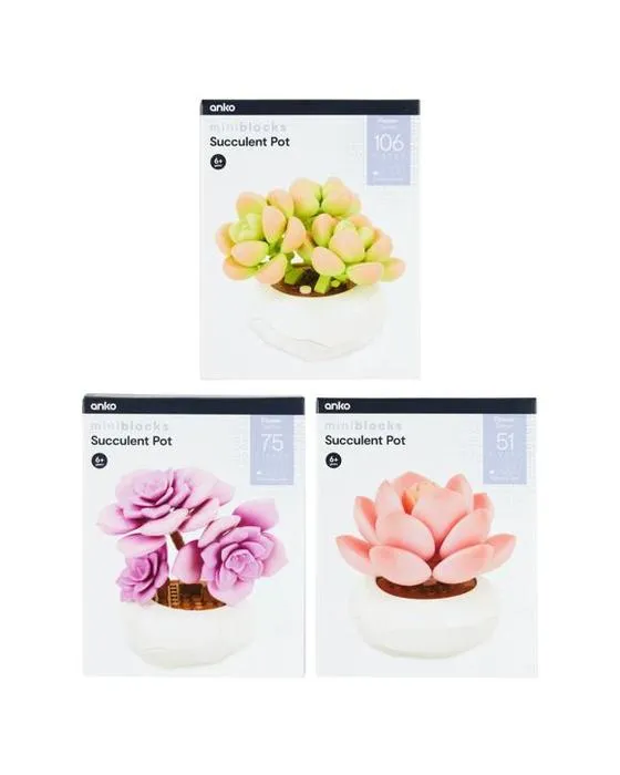 Mini blocs série de fleurs: Pot sucillant - Assortiment