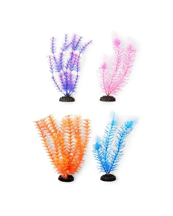 4 Pack Aquarium plantes vives - Grand
