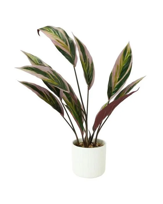 Plante de Stromanthe artificielle en pot linéaire