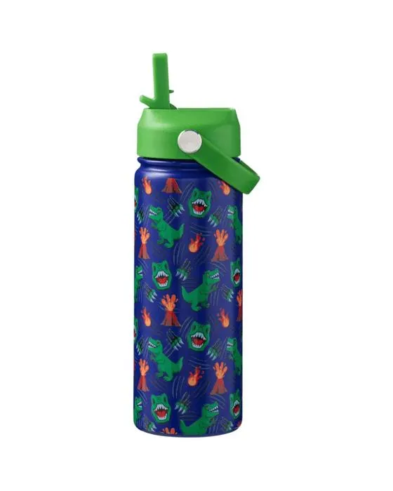 Boissons de dino de l'étude de partenaire 550mL